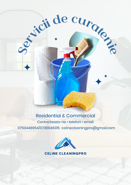 Servicii de curatenie la domiciliu / birouri