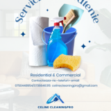 Servicii de curatenie la domiciliu / birouri